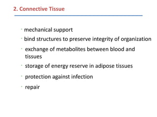 2. Connective Tissue


   •
       mechanical support
   •
       bind structures to preserve integrity of organization
   •
       exchange of metabolites between blood and
       tissues
   •
       storage of energy reserve in adipose tissues
   •
       protection against infection
   •
       repair
 