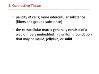 2. Connective Tissue

   •
       paucity of cells; more intercellular substance
       (fibers and ground substance)
   •
       the extracellular matrix generally consists of a
       web of fibers embedded in a uniform foundation
       that may be liquid, jellylike, or solid
 
