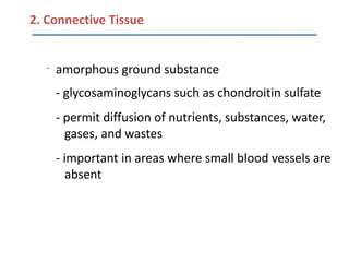 2. Connective Tissue


   •
       amorphous ground substance
       - glycosaminoglycans such as chondroitin sulfate
       - permit diffusion of nutrients, substances, water,
         gases, and wastes
       - important in areas where small blood vessels are
         absent
 