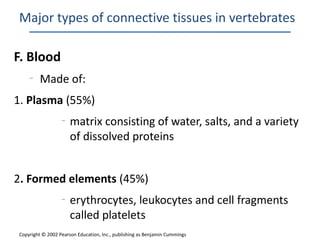 Major types of connective tissues in vertebrates

F. Blood
    –
         Made of:
1. Plasma (55%)
                  –
                      matrix consisting of water, salts, and a variety
                      of dissolved proteins


2. Formed elements (45%)
                  –
                      erythrocytes, leukocytes and cell fragments
                      called platelets
Copyright © 2002 Pearson Education, Inc., publishing as Benjamin Cummings
 