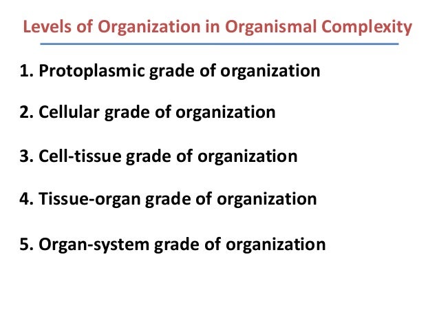 5 mechanisms of exchange cellular types 1 tissues cell and Lecture animal 5 mechanisms of exchange cellular types 1 tissues cell and Lecture animal