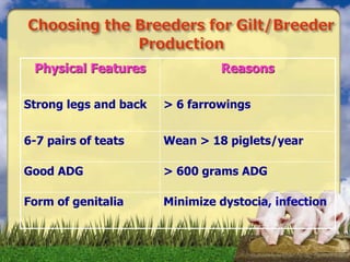 Physical Features Reasons
Strong legs and back > 6 farrowings
6-7 pairs of teats Wean > 18 piglets/year
Good ADG > 600 grams ADG
Form of genitalia Minimize dystocia, infection
 