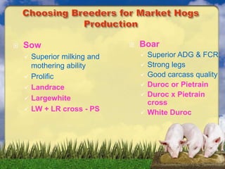  Sow
 Superior milking and
mothering ability
 Prolific
 Landrace
 Largewhite
 LW + LR cross - PS
 Boar
 Superior ADG & FCR
 Strong legs
 Good carcass quality
 Duroc or Pietrain
 Duroc x Pietrain
cross
 White Duroc
 