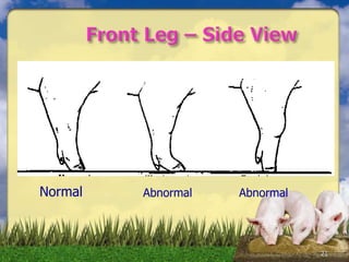 21
Normal Abnormal Abnormal
 