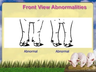 23
Abnormal Abnormal
 