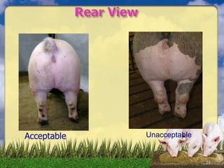 24
Acceptable Unacceptable
 