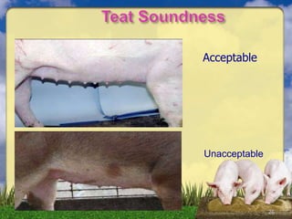 26
Acceptable
Unacceptable
 