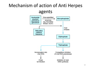 Mechanism of action of Anti Herpes
agents

10

 