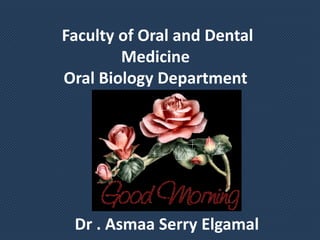 Faculty of Oral and Dental
Medicine
Oral Biology Department
Dr . Asmaa Serry Elgamal
 