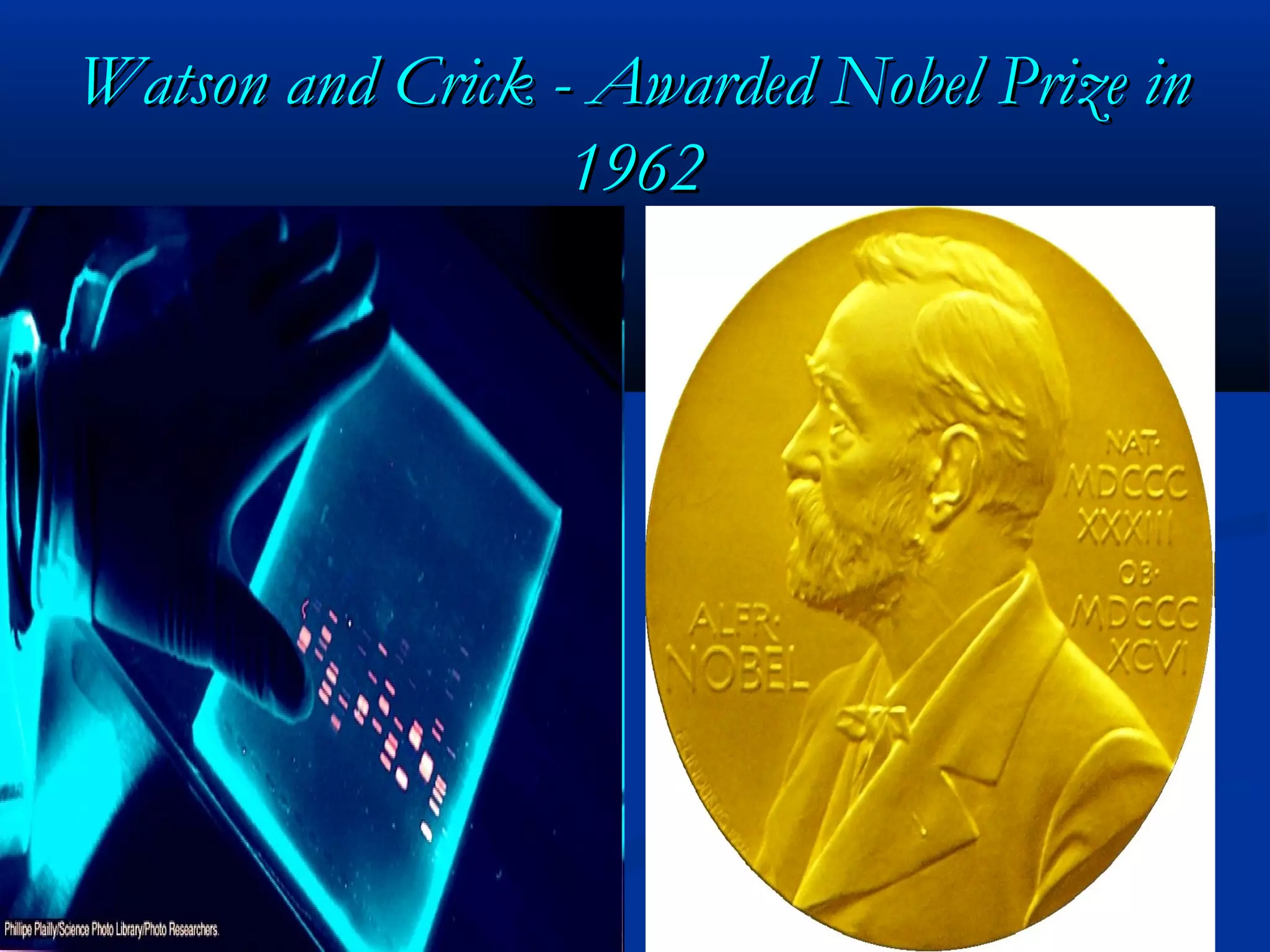Watson and Crick - Awarded Nobel Prize inWatson and Crick - Awarded Nobel Prize in
19621962
 