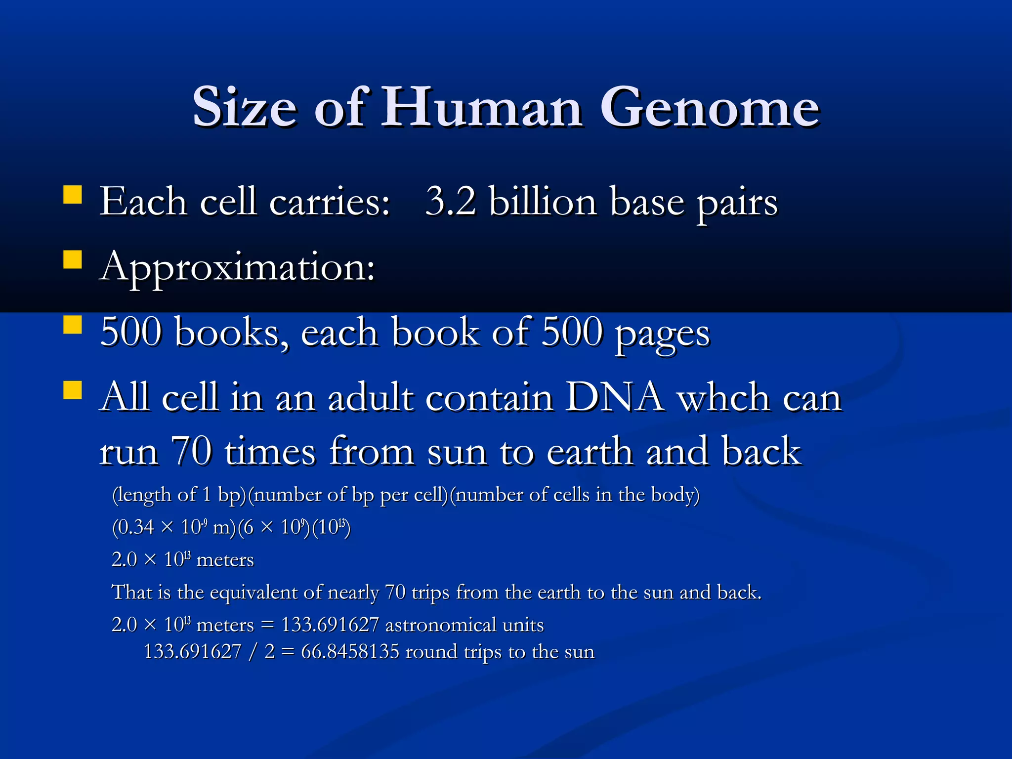 Size of Human GenomeSize of Human Genome
 Each cell carries: 3.2 billion base pairsEach cell carries: 3.2 billion base pairs
 Approximation:Approximation:
 500 books, each book of 500 pages500 books, each book of 500 pages
 All cell in an adult contain DNA whch canAll cell in an adult contain DNA whch can
run 70 times from sun to earth and backrun 70 times from sun to earth and back
(length of 1 bp)(number of bp per cell)(number of cells in the body)(length of 1 bp)(number of bp per cell)(number of cells in the body)
(0.34 × 10(0.34 × 10-9-9
 m)(6 × 10 m)(6 × 1099
)(10)(101313
))
2.0 × 102.0 × 101313
 meters meters
That is the equivalent of nearly 70 trips from the earth to the sun and back.That is the equivalent of nearly 70 trips from the earth to the sun and back.
2.0 × 102.0 × 101313
 meters = 133.691627 astronomical units meters = 133.691627 astronomical units
133.691627 / 2 = 66.8458135 round trips to the sun133.691627 / 2 = 66.8458135 round trips to the sun
 