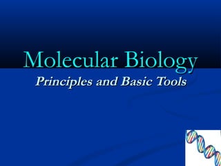 Molecular BiologyMolecular Biology
Principles and Basic ToolsPrinciples and Basic Tools
 