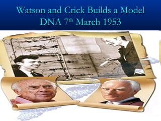 Watson and Crick Builds a ModelWatson and Crick Builds a Model
DNA 7DNA 7thth
March 1953March 1953
 