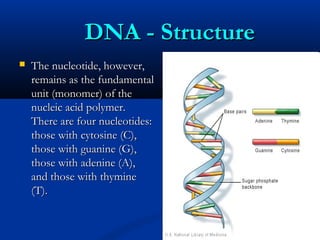 DNA - StructureDNA - Structure
 The nucleotide, however,The nucleotide, however,
remains as the fundamentalremains as the fundamental
unit (monomer) of theunit (monomer) of the
nucleic acid polymer.nucleic acid polymer.
There are four nucleotides:There are four nucleotides:
those with cytosine (C),those with cytosine (C),
those with guanine (G),those with guanine (G),
those with adenine (A),those with adenine (A),
and those with thymineand those with thymine
(T).(T).
 