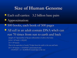 Size of Human GenomeSize of Human Genome
 Each cell carries: 3.2 billion base pairsEach cell carries: 3.2 billion base pairs
 Approximation:Approximation:
 500 books, each book of 500 pages500 books, each book of 500 pages
 All cell in an adult contain DNA whch canAll cell in an adult contain DNA whch can
run 70 times from sun to earth and backrun 70 times from sun to earth and back
(length of 1 bp)(number of bp per cell)(number of cells in the body)(length of 1 bp)(number of bp per cell)(number of cells in the body)
(0.34 × 10(0.34 × 10-9-9
 m)(6 × 10 m)(6 × 1099
)(10)(101313
))
2.0 × 102.0 × 101313
 meters meters
That is the equivalent of nearly 70 trips from the earth to the sun and back.That is the equivalent of nearly 70 trips from the earth to the sun and back.
2.0 × 102.0 × 101313
 meters = 133.691627 astronomical units meters = 133.691627 astronomical units
133.691627 / 2 = 66.8458135 round trips to the sun133.691627 / 2 = 66.8458135 round trips to the sun
 