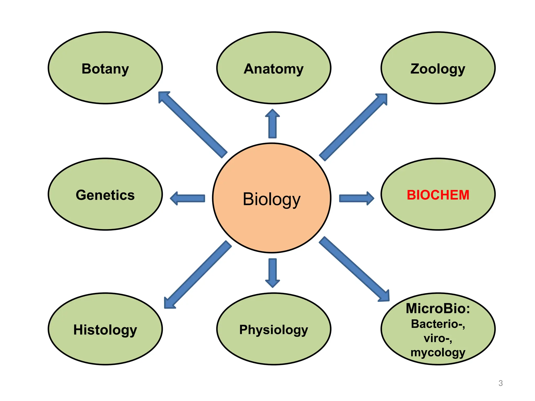 3
Biology
Histology
Botany
Genetics
MicroBio:
Bacterio-,
viro-,
mycology
BIOCHEM
Zoology
Anatomy
Physiology
 