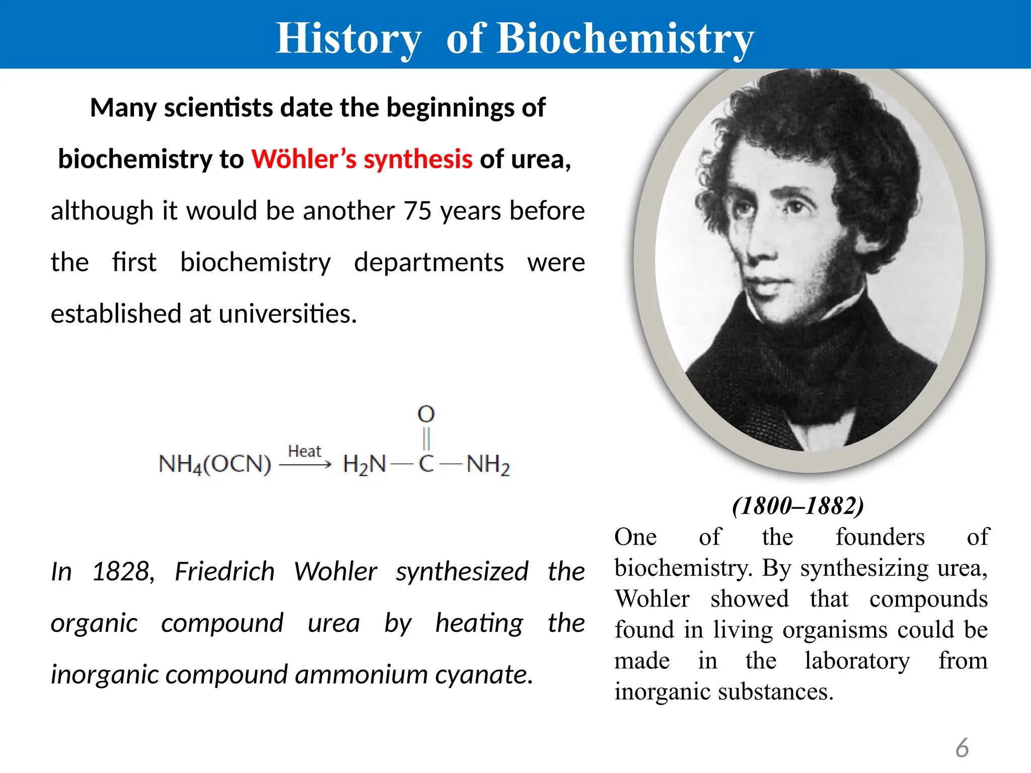 6
Many scientists date the beginnings of
biochemistry to Wöhler’s synthesis of urea,
although it would be another 75 years before
the first biochemistry departments were
established at universities.
In 1828, Friedrich Wohler synthesized the
organic compound urea by heating the
inorganic compound ammonium cyanate.
(1800–1882)
One of the founders of
biochemistry. By synthesizing urea,
Wohler showed that compounds
found in living organisms could be
made in the laboratory from
inorganic substances.
History of Biochemistry
 