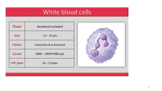 Lecture 1 Blood and blood components.pptx