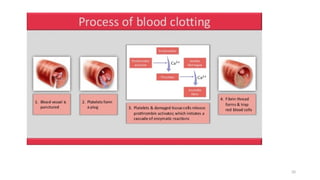Lecture 1 Blood and blood components.pptx