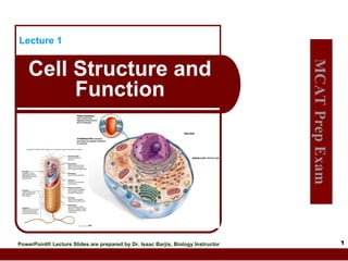 Comprehensive MCAT Prep: Cell Structure and Function Lecture | PPT
