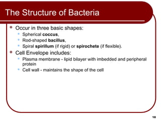 Prep Cell Building Comprehensive MCAT Prep: Cell Structure and Function Lecture | PPT