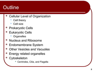 Comprehensive MCAT Prep: Cell Structure and Function Lecture | PPT