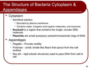 Prep Cell Building Comprehensive MCAT Prep: Cell Structure and Function Lecture | PPT