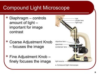 Light Intensity Control Microscope Function Comprehensive MCAT Prep: Cell Structure and Function Lecture | PPT