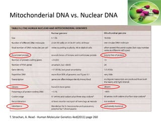 Mitochonderial DNA vs. Nuclear DNA
T. Strachan, A. Read - Human Molecular Genetics 4ed(2011) page 260
 
