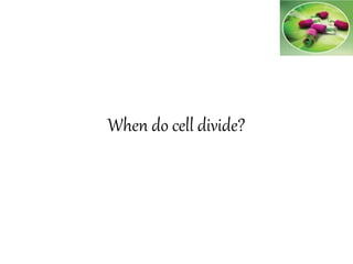 When do cell divide?
 