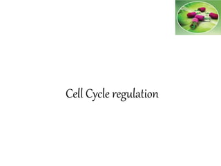 Cell Cycle regulation
 