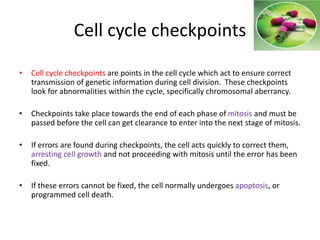Cell cycle checkpoints
• Cell cycle checkpoints are points in the cell cycle which act to ensure correct
transmission of genetic information during cell division. These checkpoints
look for abnormalities within the cycle, specifically chromosomal aberrancy.
• Checkpoints take place towards the end of each phase of mitosis and must be
passed before the cell can get clearance to enter into the next stage of mitosis.
• If errors are found during checkpoints, the cell acts quickly to correct them,
arresting cell growth and not proceeding with mitosis until the error has been
fixed.
• If these errors cannot be fixed, the cell normally undergoes apoptosis, or
programmed cell death.
 