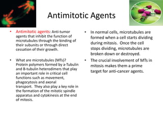 Antimitotic Agents
• Antimitotic agents: Anti-tumor
agents that inhibit the function of
microtubules through the binding of
their subunits or through direct
cessation of their growth.
• What are microtubules (MTs)?
Protein polymers formed by a-Tubulin
and B-tubulin heterodimers that play
an important role in critical cell
functions such as movement,
phagocytosis and axonal
transport. They also play a key role in
the formation of the mitotic spindle
apparatus and cytokinesis at the end
of mitosis.
• In normal cells, microtubules are
formed when a cell starts dividing
during mitosis. Once the cell
stops dividing, microtubules are
broken down or destroyed.
• The crucial involvement of MTs in
mitosis makes them a prime
target for anti-cancer agents.
 