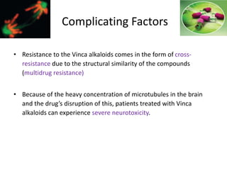 Complicating Factors
• Resistance to the Vinca alkaloids comes in the form of cross-
resistance due to the structural similarity of the compounds
(multidrug resistance)
• Because of the heavy concentration of microtubules in the brain
and the drug’s disruption of this, patients treated with Vinca
alkaloids can experience severe neurotoxicity.
 