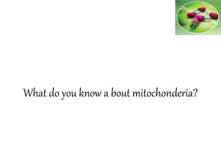 What do you know a bout mitochonderia?
 