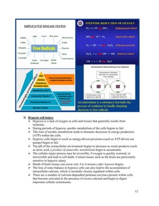 Pathology - Cell Injury | PDF
