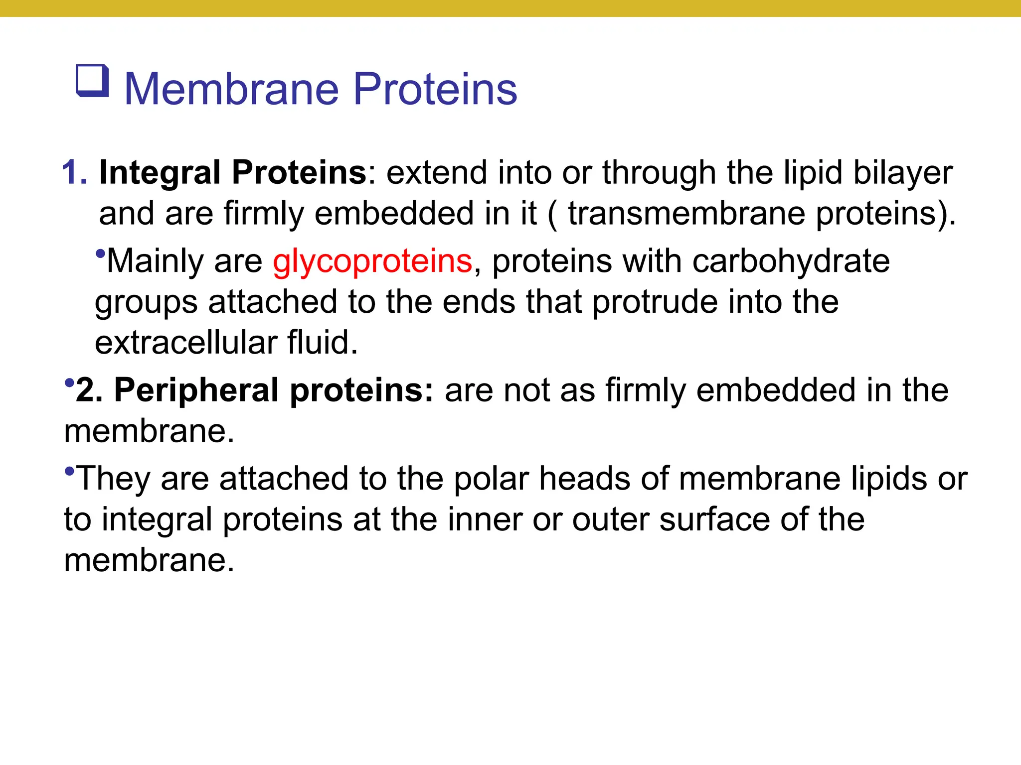  Membrane Proteins
1. Integral Proteins: extend into or through the lipid bilayer
and are firmly embedded in it ( transmembrane proteins).
•Mainly are glycoproteins, proteins with carbohydrate
groups attached to the ends that protrude into the
extracellular fluid.
•2. Peripheral proteins: are not as firmly embedded in the
membrane.
•They are attached to the polar heads of membrane lipids or
to integral proteins at the inner or outer surface of the
membrane.
 