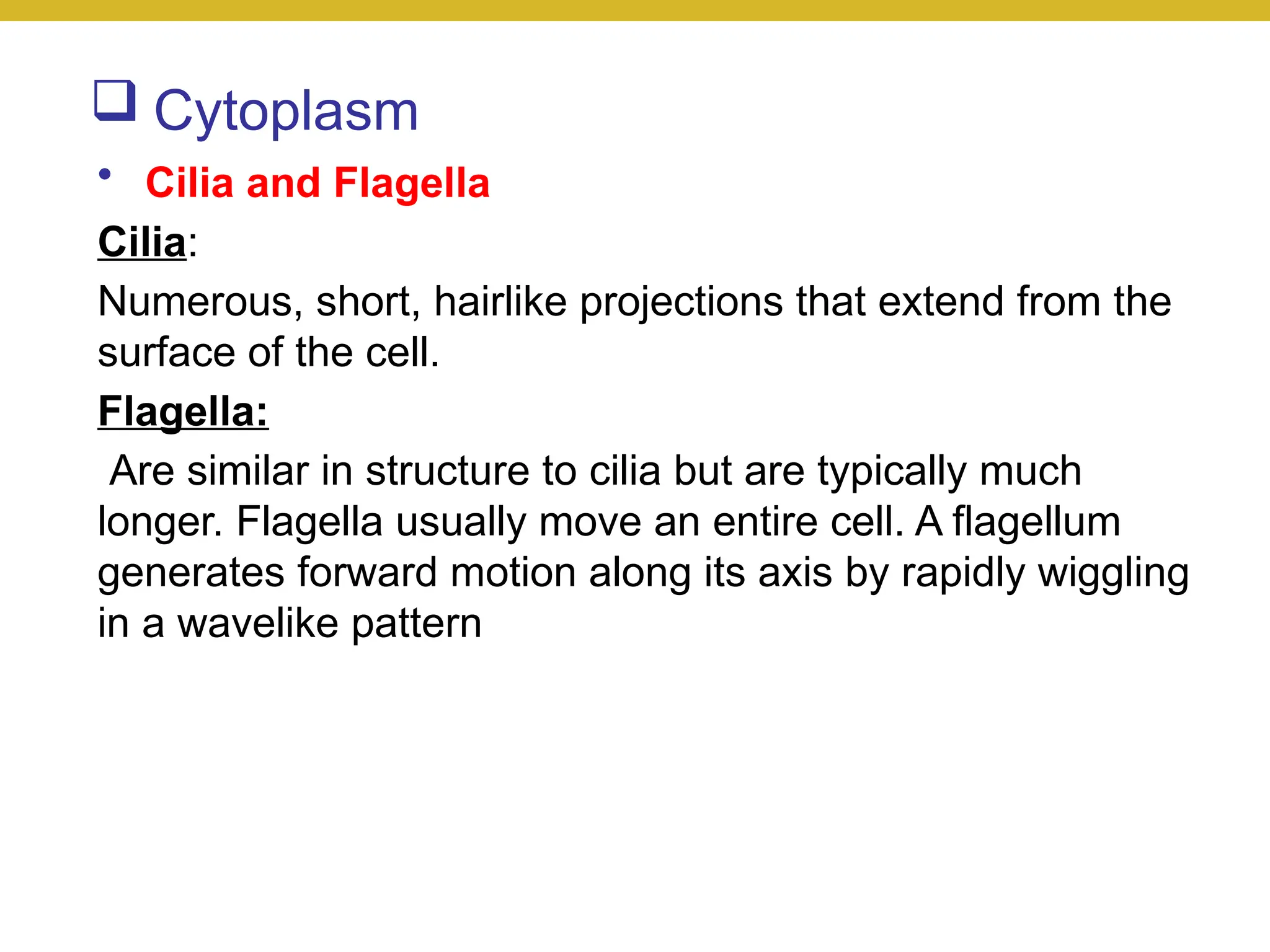  Cytoplasm
• Cilia and Flagella
Cilia:
Numerous, short, hairlike projections that extend from the
surface of the cell.
Flagella:
Are similar in structure to cilia but are typically much
longer. Flagella usually move an entire cell. A flagellum
generates forward motion along its axis by rapidly wiggling
in a wavelike pattern
 