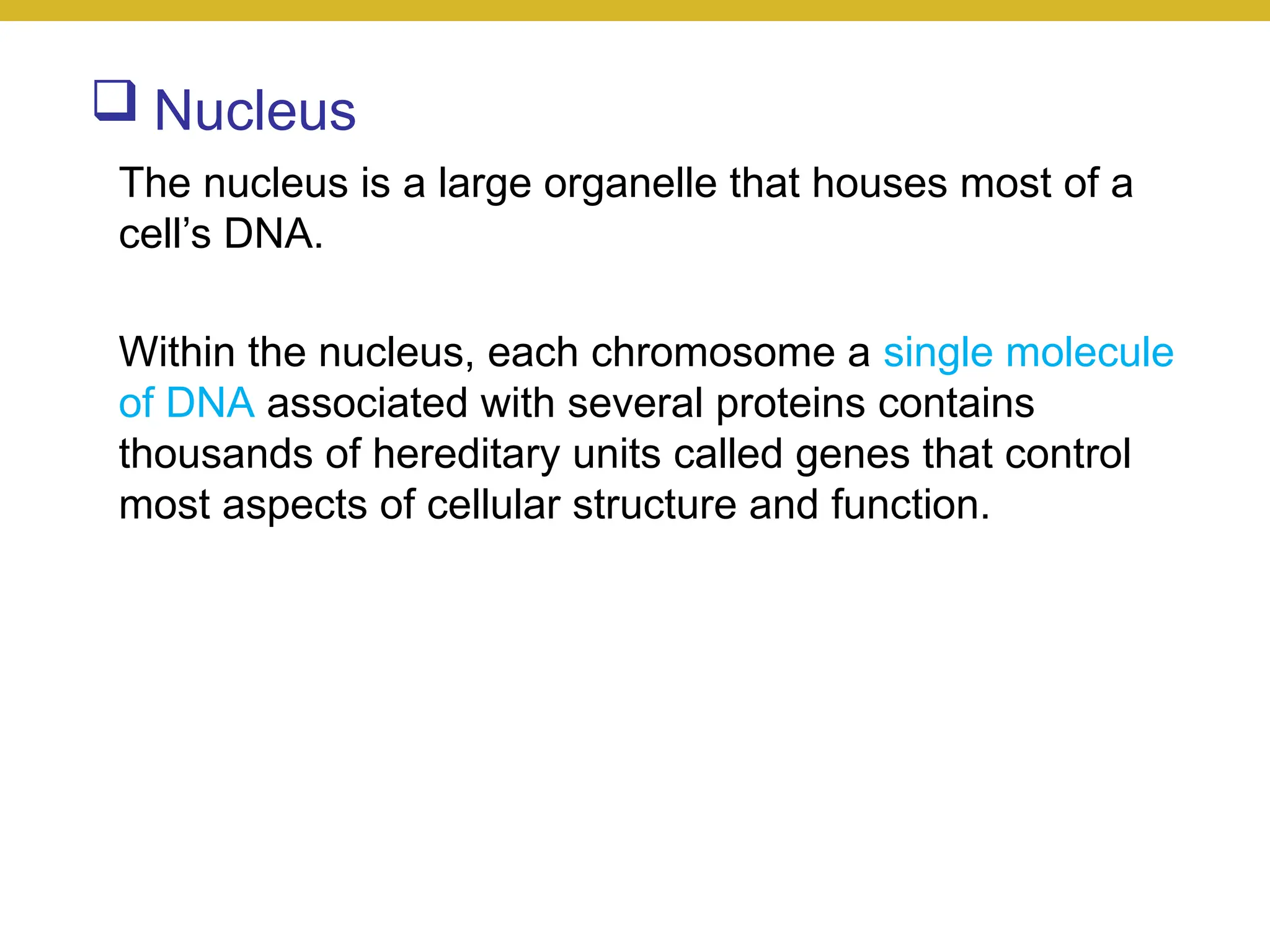  Nucleus
The nucleus is a large organelle that houses most of a
cell’s DNA.
Within the nucleus, each chromosome a single molecule
of DNA associated with several proteins contains
thousands of hereditary units called genes that control
most aspects of cellular structure and function.
 