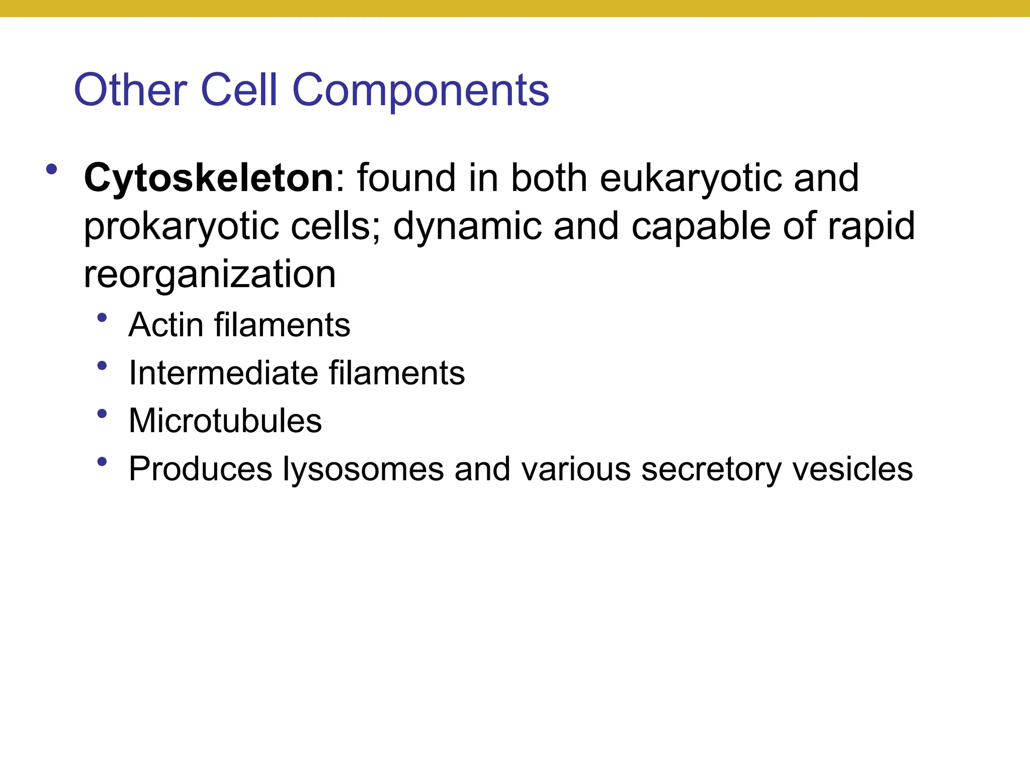 Other Cell Components
• Cytoskeleton: found in both eukaryotic and
prokaryotic cells; dynamic and capable of rapid
reorganization
• Actin filaments
• Intermediate filaments
• Microtubules
• Produces lysosomes and various secretory vesicles
 
