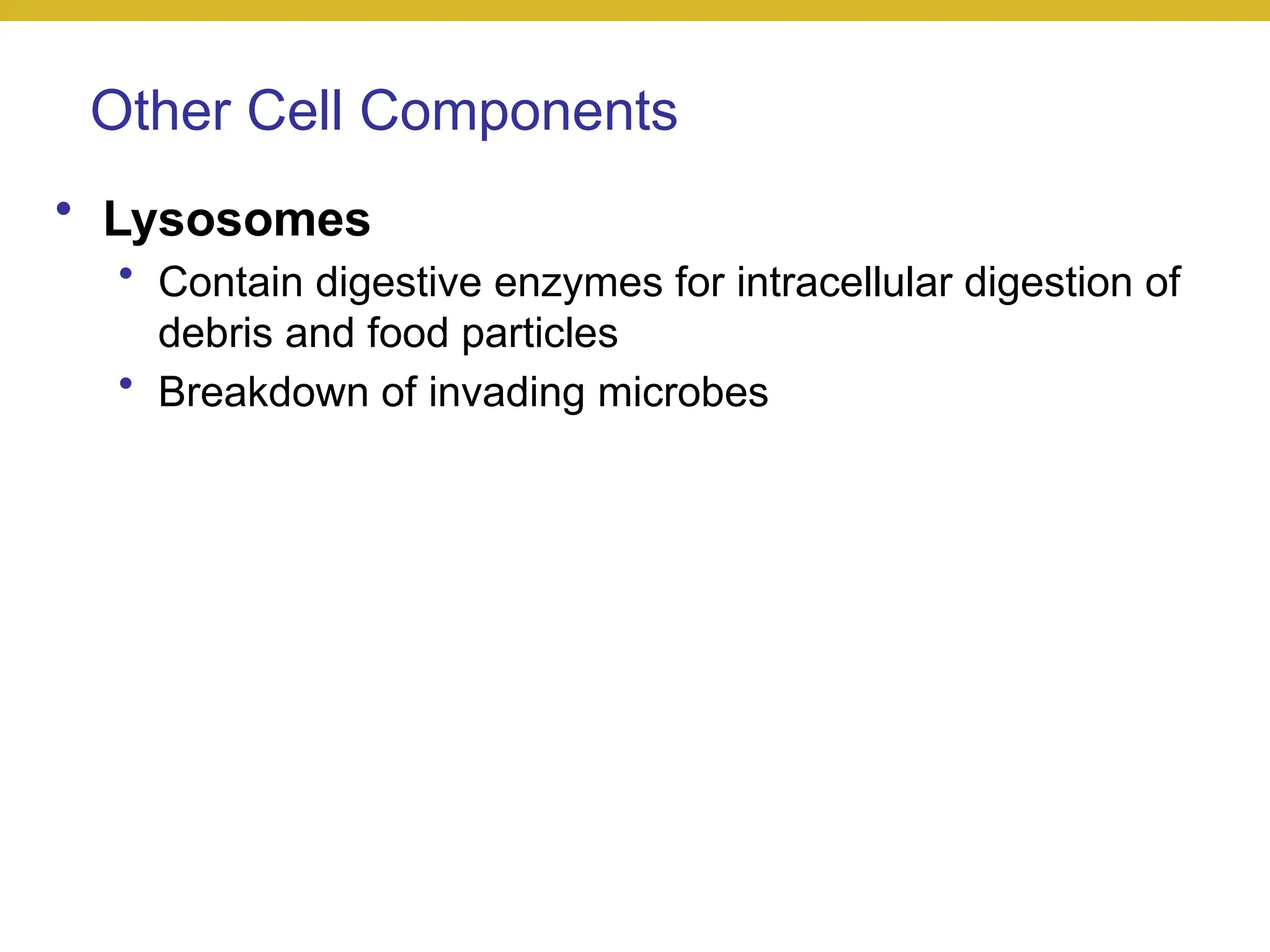 Other Cell Components
• Lysosomes
• Contain digestive enzymes for intracellular digestion of
debris and food particles
• Breakdown of invading microbes
 