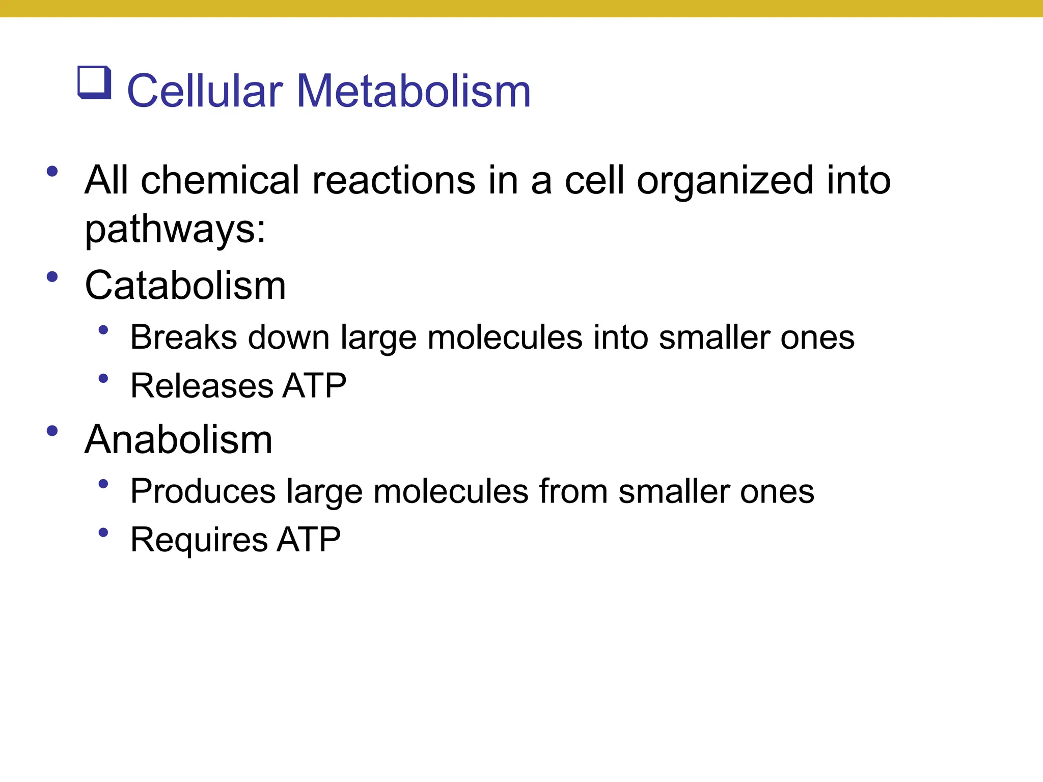  Cellular Metabolism
• All chemical reactions in a cell organized into
pathways:
• Catabolism
• Breaks down large molecules into smaller ones
• Releases ATP
• Anabolism
• Produces large molecules from smaller ones
• Requires ATP
 