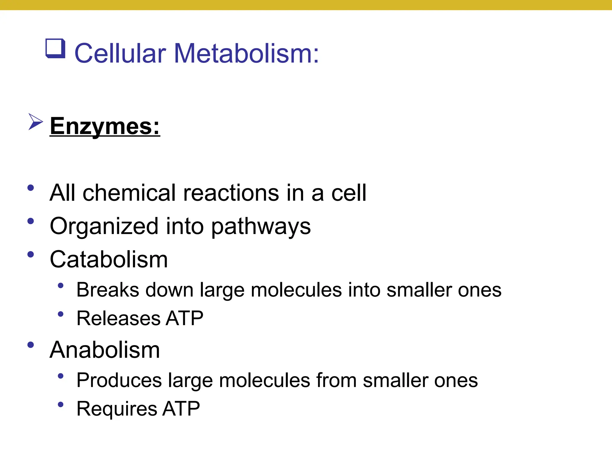  Cellular Metabolism:
 Enzymes:
• All chemical reactions in a cell
• Organized into pathways
• Catabolism
• Breaks down large molecules into smaller ones
• Releases ATP
• Anabolism
• Produces large molecules from smaller ones
• Requires ATP
 