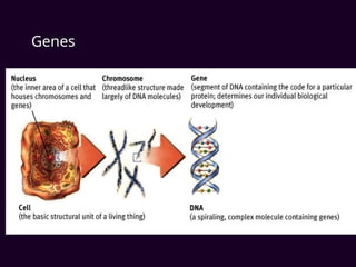 Genes
 