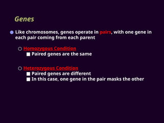 Genes
● Like chromosomes, genes operate in pairs, with one gene in
each pair coming from each parent
○ Homozygous Condition
■ Paired genes are the same
○ Heterozygous Condition
■ Paired genes are different
■ In this case, one gene in the pair masks the other
 