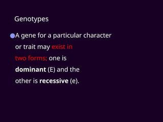 Genotypes
●A gene for a particular character
or trait may exist in
two forms; one is
dominant (E) and the
other is recessive (e).
 