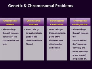 Genetic & Chromosomal Problems
Chromosomal
deletion:
• when cells go
through meiosis,
portions of the
chromosome are
lost.
Chromosomal
inversion:
• when cells go
through meiosis,
parts of the
chromosome are
flipped.
Chromosomal
translocation:
• when cells go
through meiosis,
parts of the
chromosomes
stick together
and switch.
Chromosomal
non-disjunction:
• when cells go
through meiosis
the
chromosomes
don’t separate
correctly and
either too many
or not enough
are passed on.
 