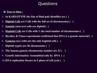 Questions
● True or false :
1. In KARYOTYPE the Size of final pair identifies sex ( )
2. Diploid Cells are Cells with the full set of chromosomes ( )
3. Somatic (non-sex) cells are diploid ( )
4. Haploid Cells are Cells with ½ the total number of chromosomes ( )
5. Hershey & Chase experiments confirmed that DNA is a genetic material ( )
6. Gametes (sex cells) are the only haploid cells ( )
7. Diploid zygote are 46 chromosome ( )
8. The human gamete chromosome number are 23 ( )
9. Genetic information transmitted only by DNA ( )
10.DNA replication Occurs in S phase of cell cycle ( )
 