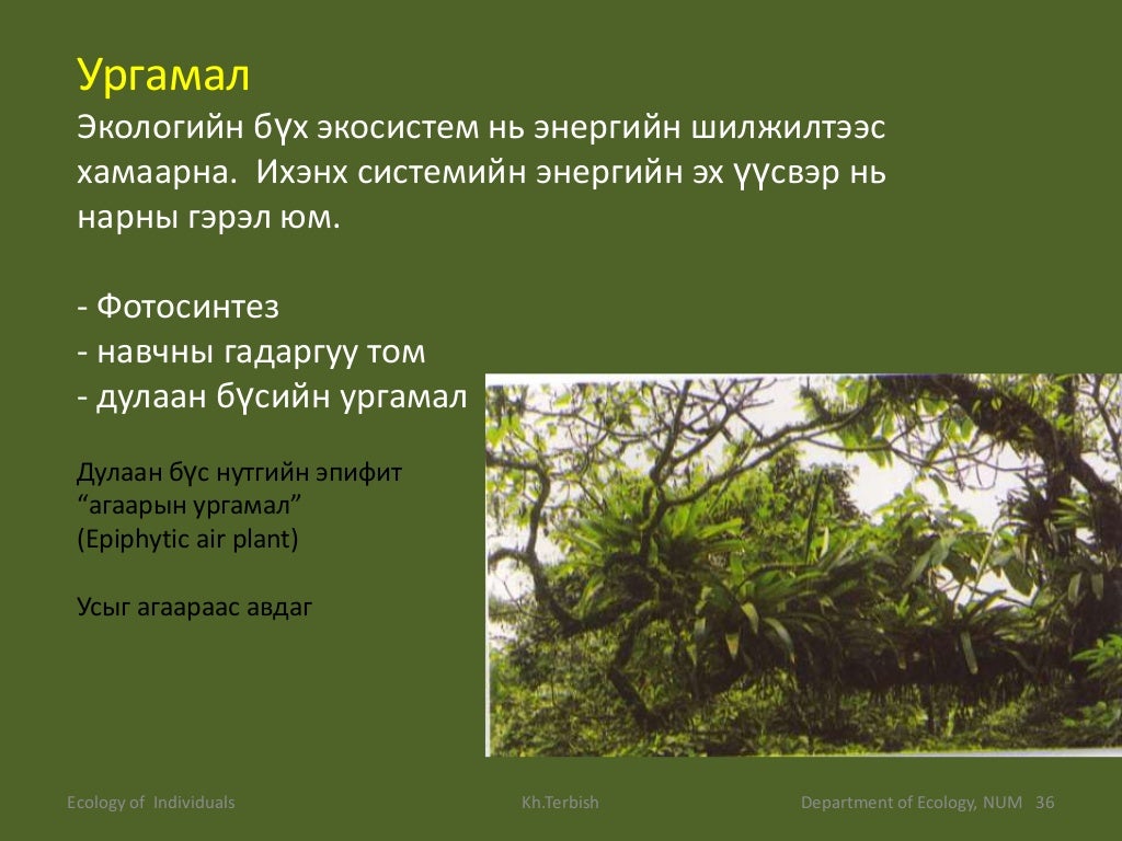Экологи Байгаль хамгаалал