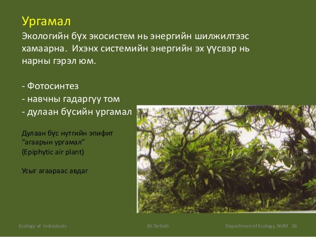 Экологи Байгаль хамгаалал